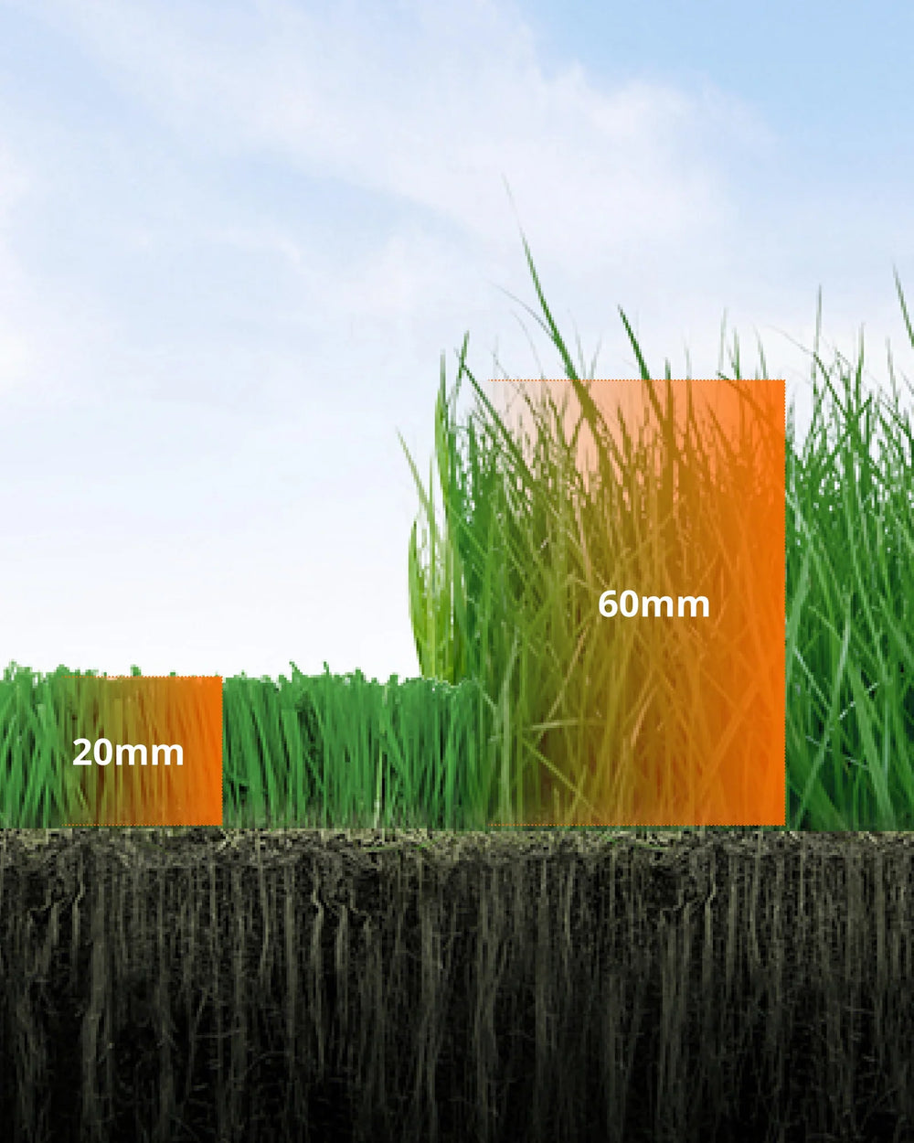 Adjust Cutting Height