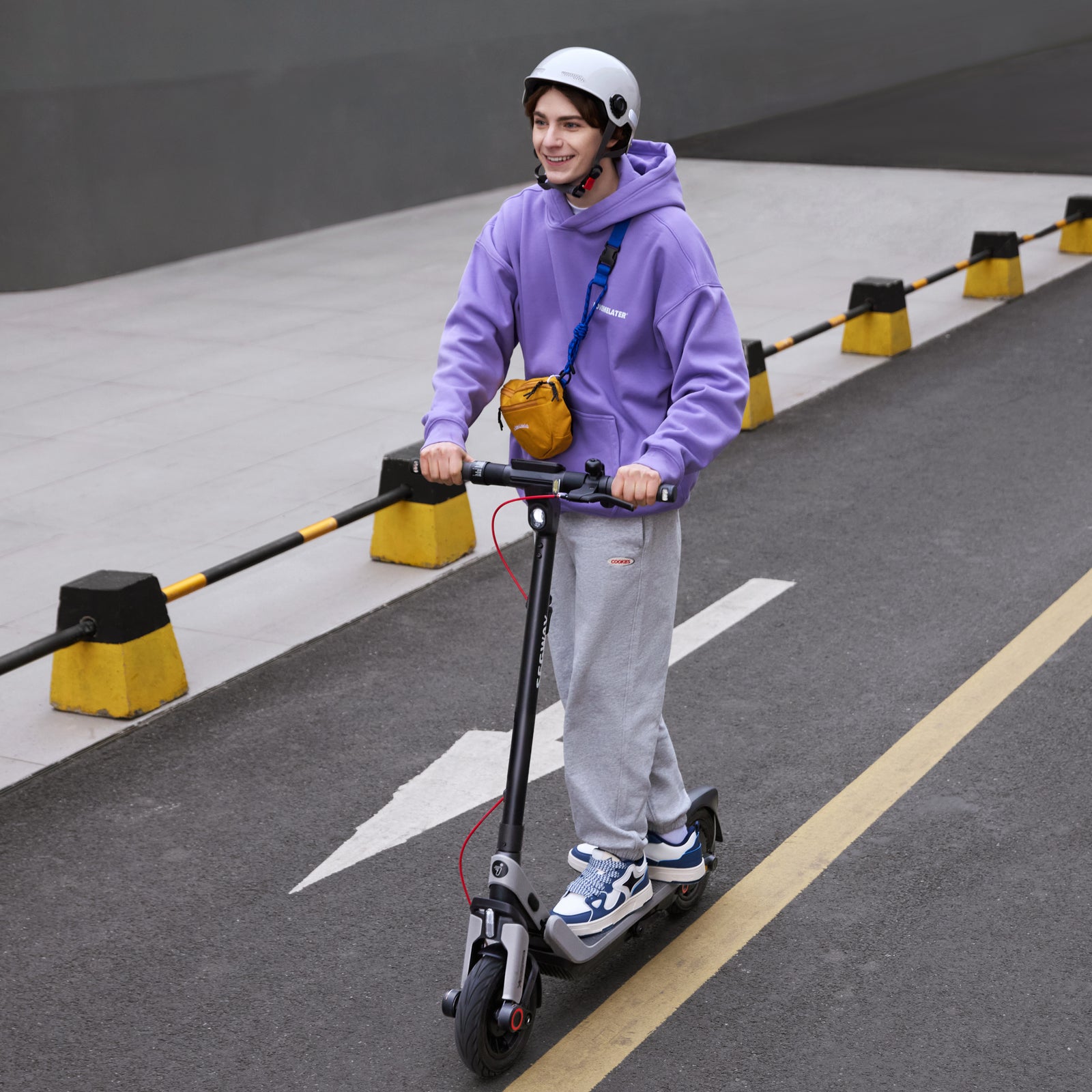 E3 PRO Segway Electric KickScooter
