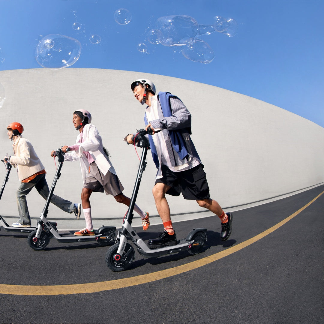 E3 Segway Electric KickScooter