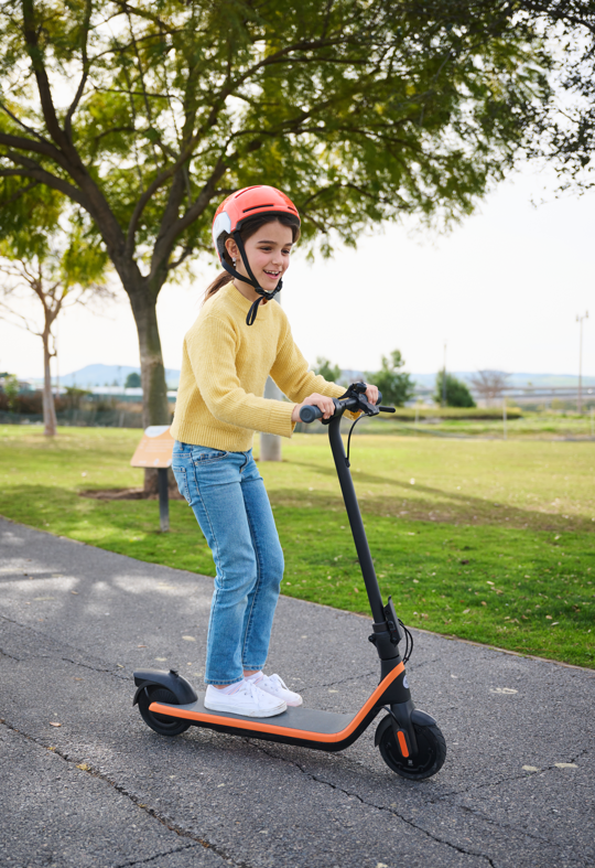 C2 Segway-Ninebot Electric KickScooter